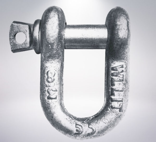 G210 U.S D Type Shackle